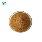 100% Natural Concentrated Powder Hoodia Gordonii Extract