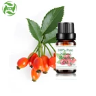 Organic Rosehip Seed Oil Cold Pressed Rosehip Seed Oil Bulk Chili Price Private Label
