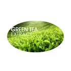 Factory Supply Natural Oem leaf GREEN TEA EXTRACT with polyphenol 95% Polyphenol ,EGCG,Catechin,Camellia Sinensis