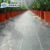 /product-detail/pp-woven-plastic-green-squares-avoid-weed-growth-ground-cover-fabrics-for-mulching-60172427948.html