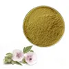 100% pure natural 5:1 marshmallow root extract powder marshmallow p e
