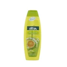good quality hair shampoo herbal argan oil natural shampoo brands champu para el pelo