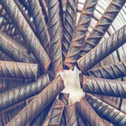deformed Steel rebar, iron rods for construction