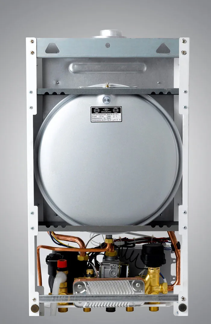 Wall Hung Gas Boiler For Radiator/floor Heating Manufacturer Since