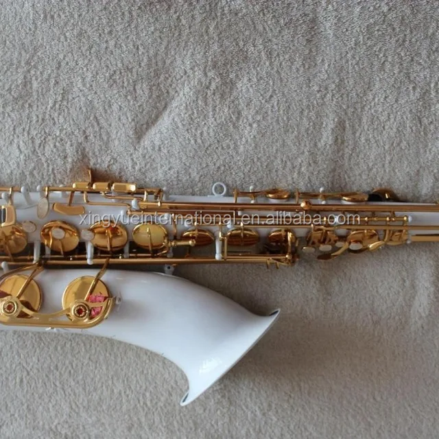 a woodwind instrument