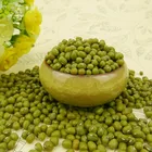 Green mung bean Moong dal sprout mung beans use for sale