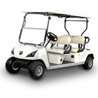 4 Seats cheap electric golf carts for sale with CE certificate DG-C4(China)