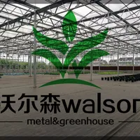 Multispan Tunnel Greenhouse For Strawberry Grape