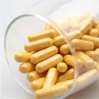 Best Pills Garcinia Cambogia Capsules Best Weight Lose Diet Pills Nature Garcinia Cambogia HCA 95% Extract Capsules
