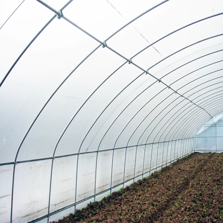 6M X10m Plastic Cover Indoor Mini Greenhouse