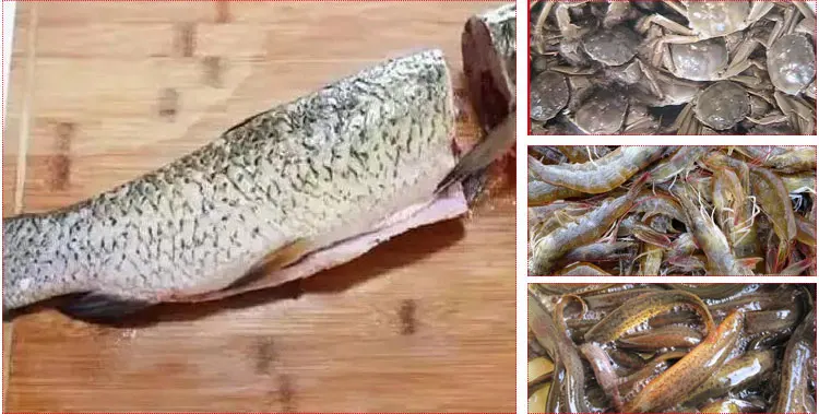 Tilapia Salmon Fish Meat and Bone Separator Machine Fish Meat Separator Machine manufacture