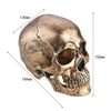 /product-detail/polystone-skull-mold-oem-10cm-tall-resin-skull-handmade-60649531903.html