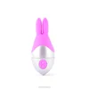 /product-detail/high-quality-10-functions-mini-hand-rabbit-sex-massager-and-vibrator-massager-sex-vibrating-machine-1728693300.html