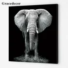 Factory Customized Wall Decor Print Elephant Picture