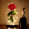 Beauty and the Beast Red Eternal Rose in Glass Dome holiday Gifts led Rose night light lamp