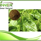 100% Natural mulberry leaf extract (DNJ) powder 1%
