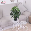 /product-detail/factory-price-indoor-house-decoration-mini-artificial-bonsai-tree-60615828312.html