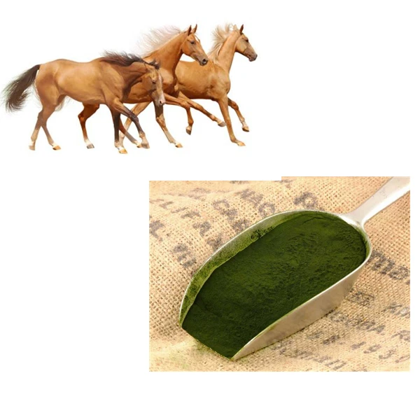 E Spirulina A 19.jpg