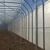 /product-detail/hot-sale-small-size-agriculture-solar-tent-greenhouse-for-sale-60744768199.html