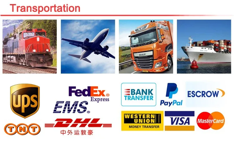transportation