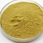 Nootropic Huperzine A Extract 1% 98% CAS:120786-18-7