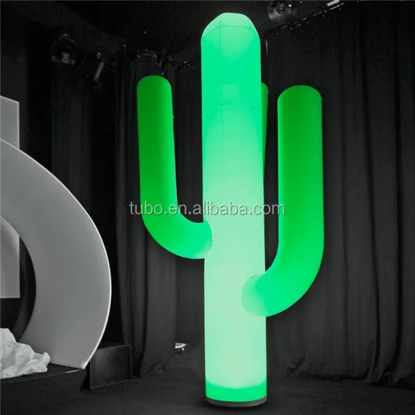 CACTUS_Beitragsbild.jpg