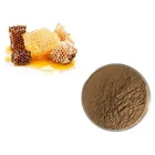 Eec Health Care and Medical 100% Pure Natural Propolis Extract Powder