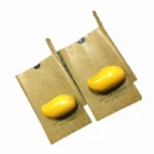 Thailand Market Wholesale Waterproof 18x28cm Fruit Cover Mango Paper Bag