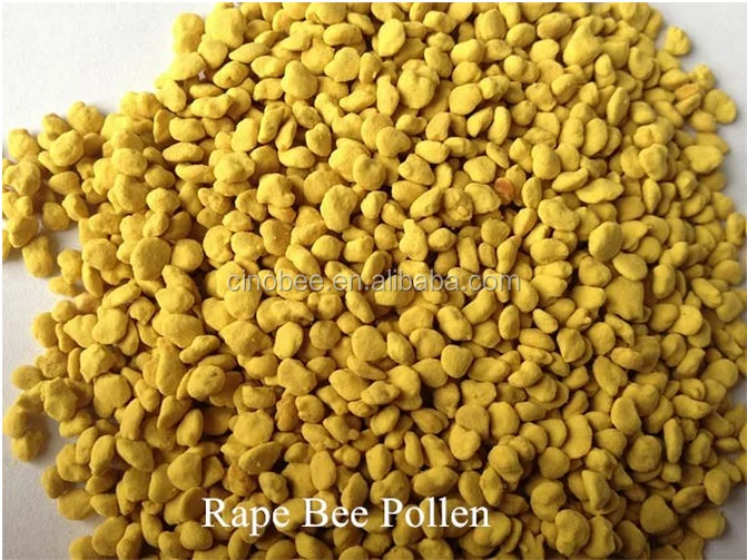 Rape bee pollen (15).png