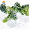/product-detail/supply-good-quality-frozen-broccoli-hot-sale-new-products-60749317636.html