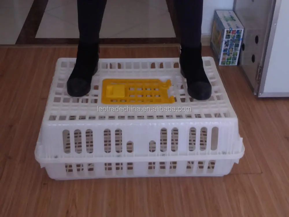 live chicken transport box/plastic broiler transport crate