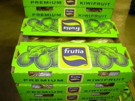 kiwifruit new zealand