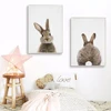 /product-detail/animals-cartoon-canvas-painting-rabbit-posters-prints-nordic-minimalist-nursery-wall-art-picture-home-decor-60781094564.html