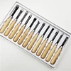 Woodworking Tool 12pcs Professional Chisel Kit