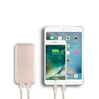 2017 high quality 2-in-1 6000mah power bank with USB Flash drive 4GB,8GB free sample
