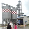 /product-detail/professional-design-products-new-type-various-capacity-feed-hopper-silo-hopper-62036961887.html
