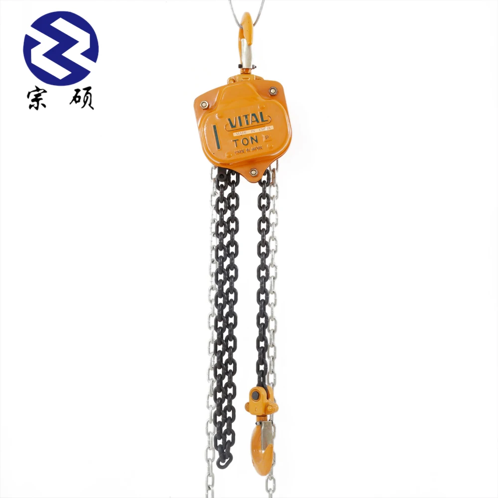 1 Ton 2 Ton 3 Ton 5 Ton 10 Ton Vital Type Chain Block Hoist For Lifting