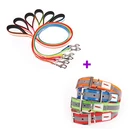 Retail Durable Night Safety GHLJ Retractable LED Flashing Light Dog Leash and collar