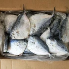 Sea Caught Moonfish Frozen Moon Fish New Catching for Market Selling