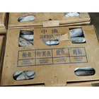Frozen Fish Bonito Tuna Factory Price