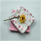 Aden Anais Floral Cotton Flannel Baby Muslin Swaddle Blanket-2Pack