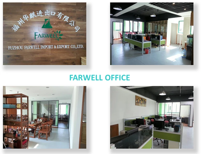 Office Picture.jpg