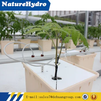 Agricultural Greenhouse Aquaponics Growing System - Buy ...