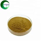 Olive Leaf Extract /Canarium album Raeusch /Oleuropein Hydroxytyrosol /HPLC /UV