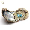 /product-detail/wholesale-natural-7-8mm-blue-twins-sea-pearl-prices-tempting-pearl-oysters-60758219613.html