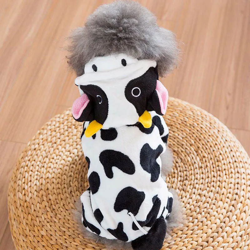 4813328261_859103132