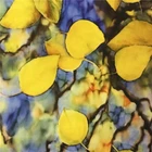 16MM digital printed 100 silk crepe de chine fabric for lady garments