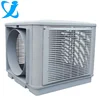 High-class plastic Outdoor air Cooler mould in China,air conditioner mould