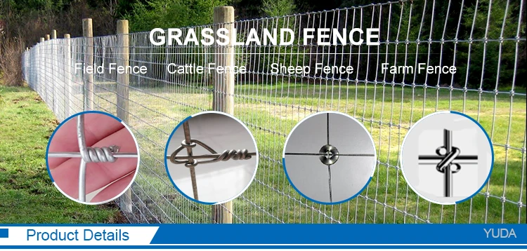 Cheap cheap field fence non-climb horse wire mesh fence hot sale