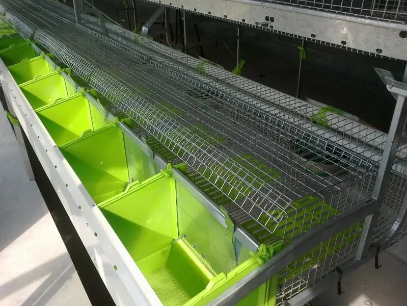 Automatic Rabbit Farming Equipment Buy Rabbit Farming Equipment Product on